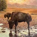 Free Roaming-1