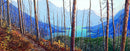 High Trail-1