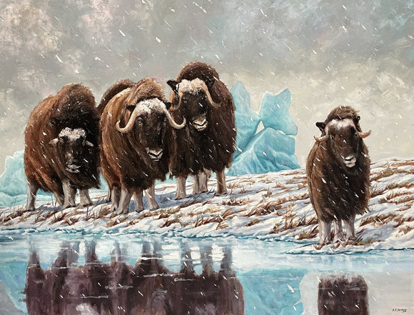 Yup! …It’s Snowing Again