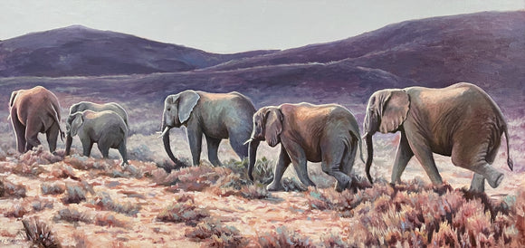 Elephants of Little Karoo