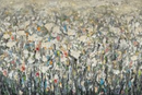 Garden of Flowers-1