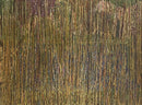 Through the Looking Grass-1