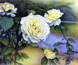 Alberta Roses in Bloom