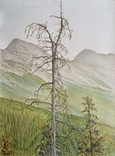 Still Standing-1
