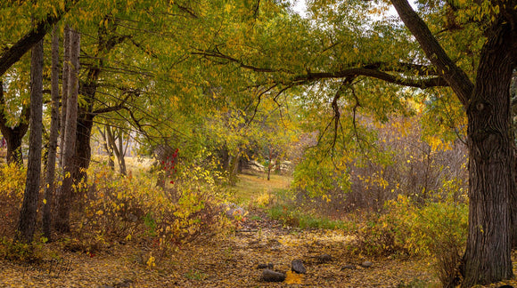 Fall at Hawrlack