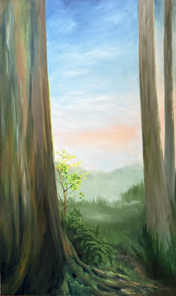 Morning Light Between the Cedars