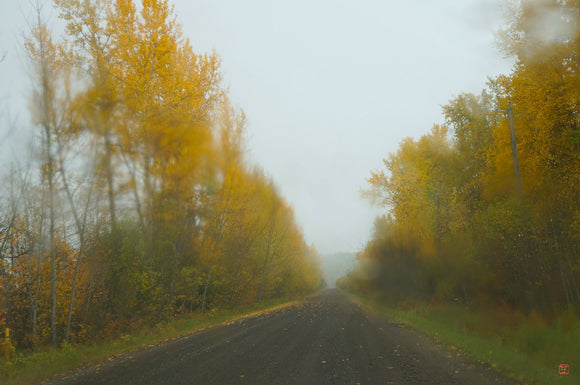 From my windshield - Autumn Rain