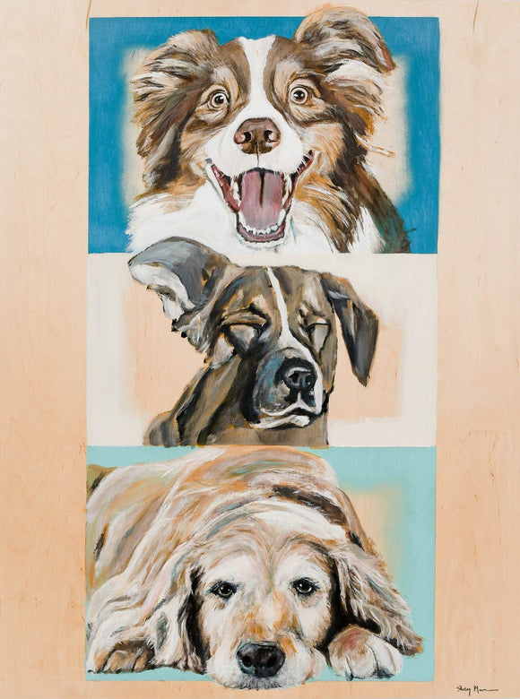 Where the Dogs Are