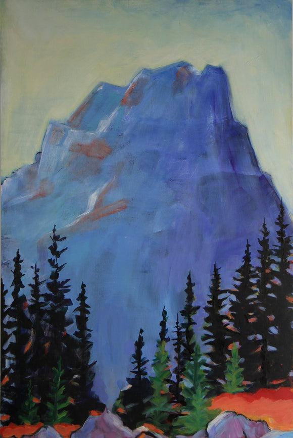 Summit of Colours