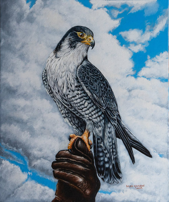 Falconer's Trust