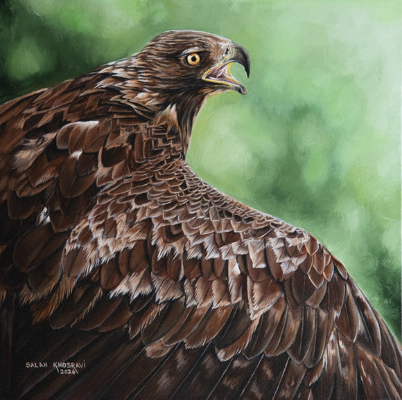 Feathered Fury