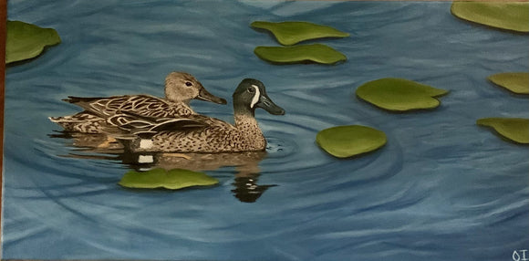 Blue-winged teals