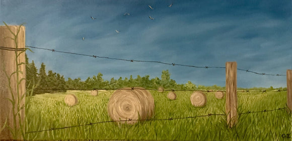 Canadian prairies