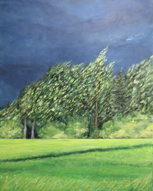 After the Storm