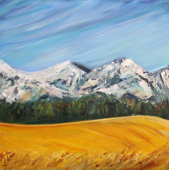 Foothills in summer 1