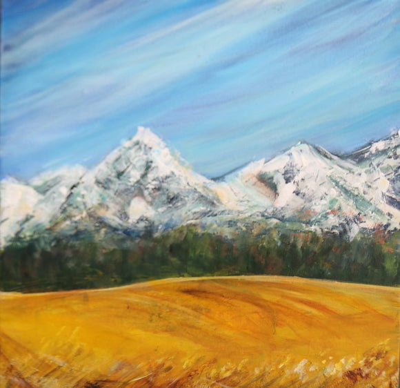 Foothills in Summer 2