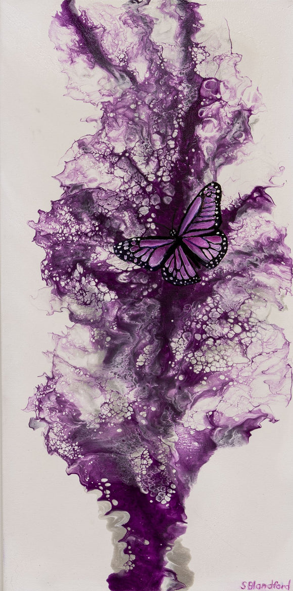 Magenta Butterfly