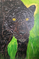Panther-1