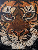 Up Close and Personal with the Big Cat!-1