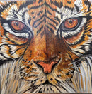 Big Cat-1