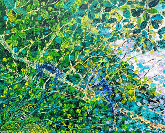 Rain Forest