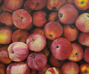 An Apple A Day-1