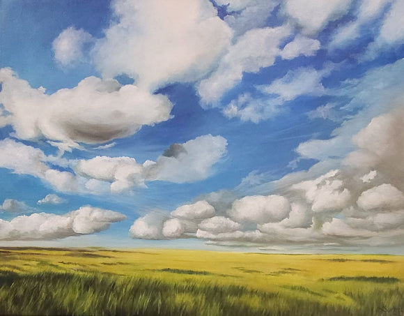 Cloud Day in the Prairie