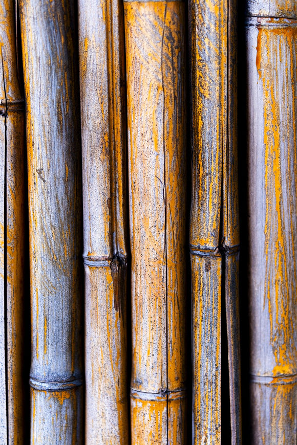Bamboo Wall