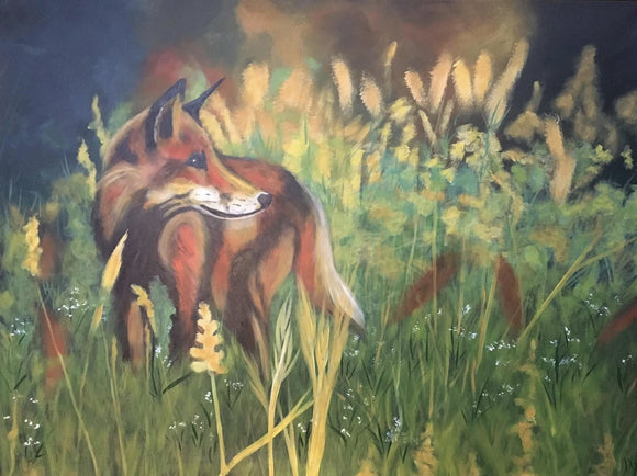 Red Fox