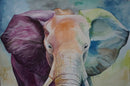 Pride of Wild-1
