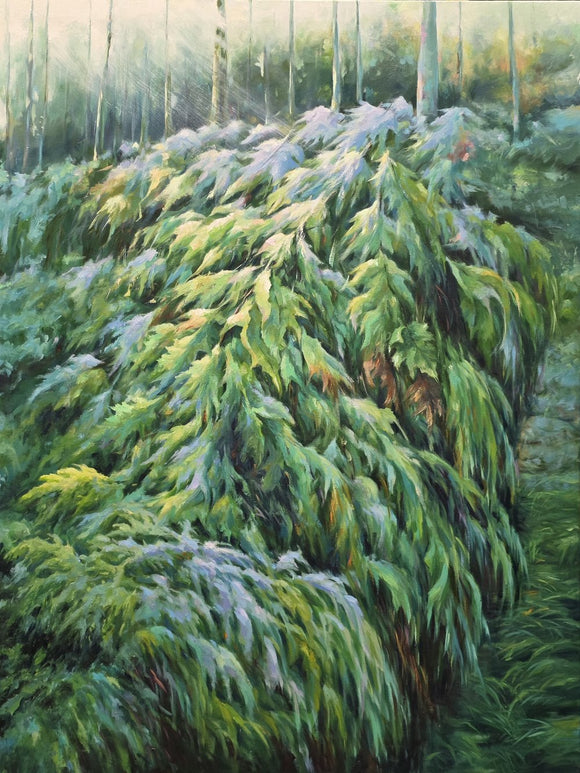 Where the forest breathes