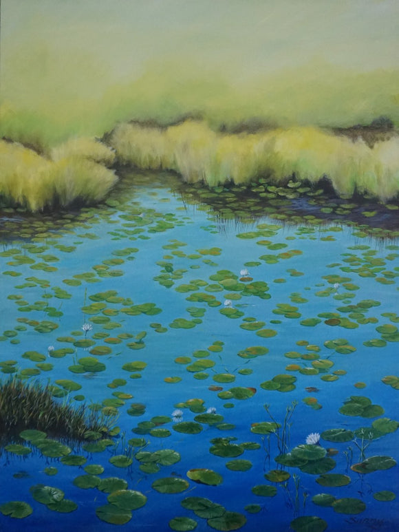Beaver Lake