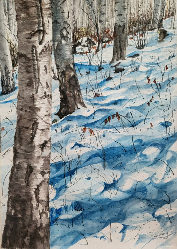 Winter Birch woods
