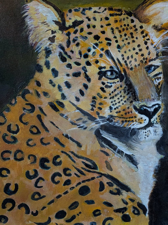 I See Spots