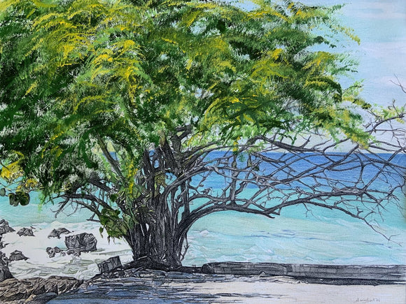 Oceanside Canopy