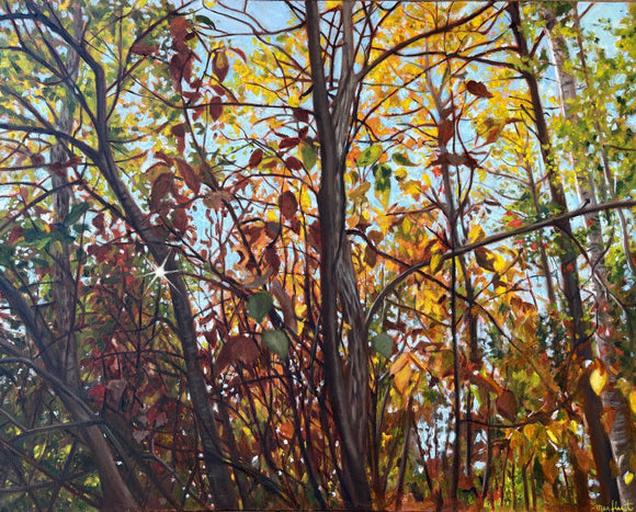 Autumn Walk