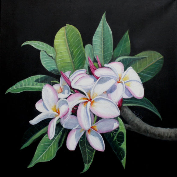 Hawaiian Plumerias