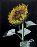 September-1