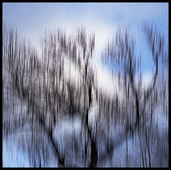 Autumn Sky