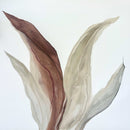 Miracle-1