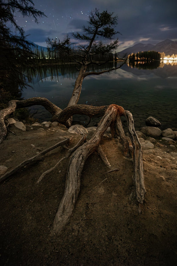 Deep Roots