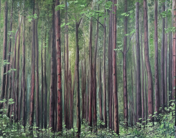 Bamboo looking tall trees