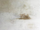 Calm-1