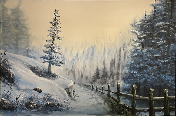 Winter country road