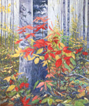 Red Leaves-1