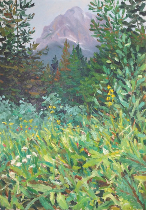 Undergrowth - Kananaskis