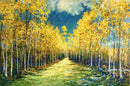 Poplar Saturday-1
