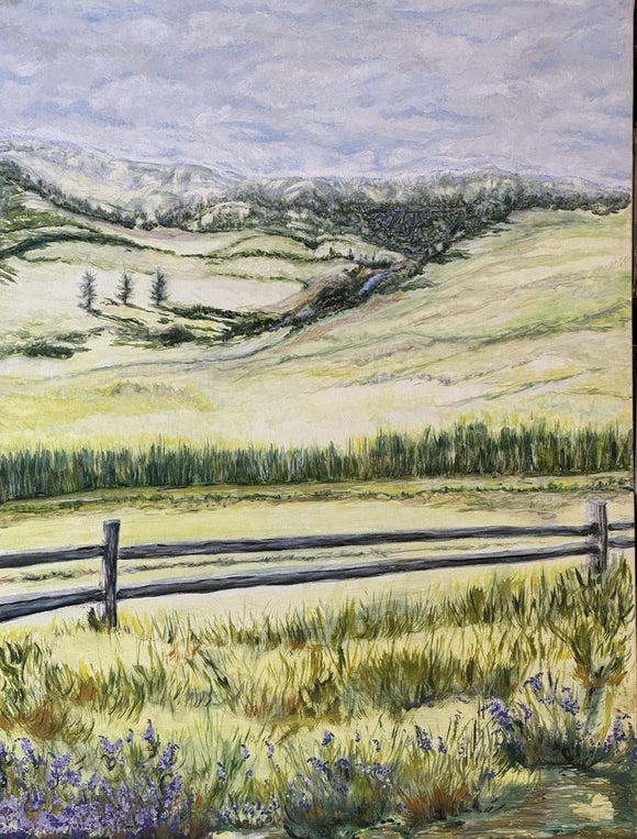 Prairie Yellow VIII -Stoney Creek, Camrose, AB