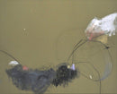 Fragmentation-1