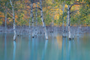 Sunken Color-1
